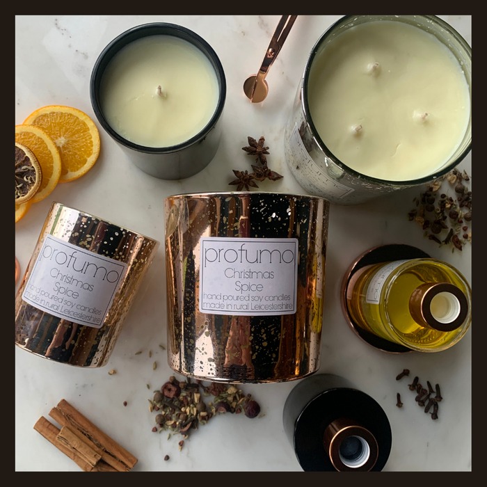 The FESTIVE Christmas Collection