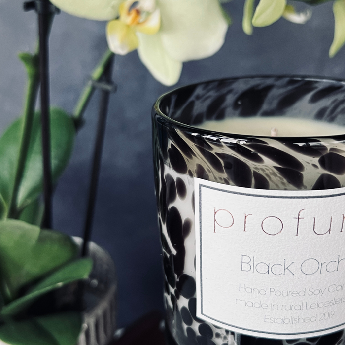 VOGUE: BLACK ORCHID SCENTED SOY WAX CANDLE