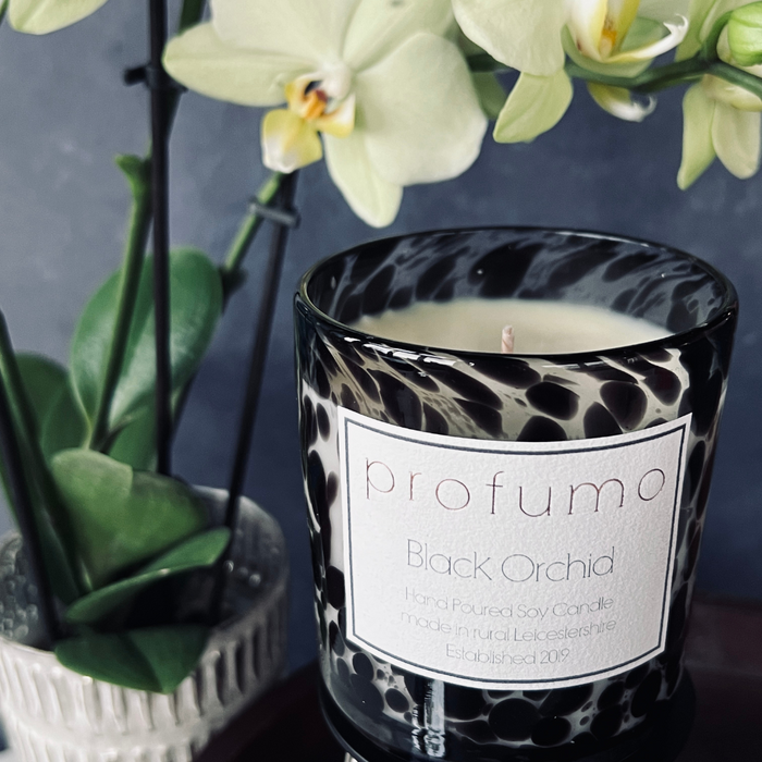 VOGUE: BLACK ORCHID SCENTED SOY WAX CANDLE