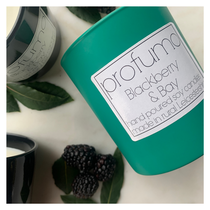 BLACKBERRY & BAY SCENTED SOY WAX CANDLE